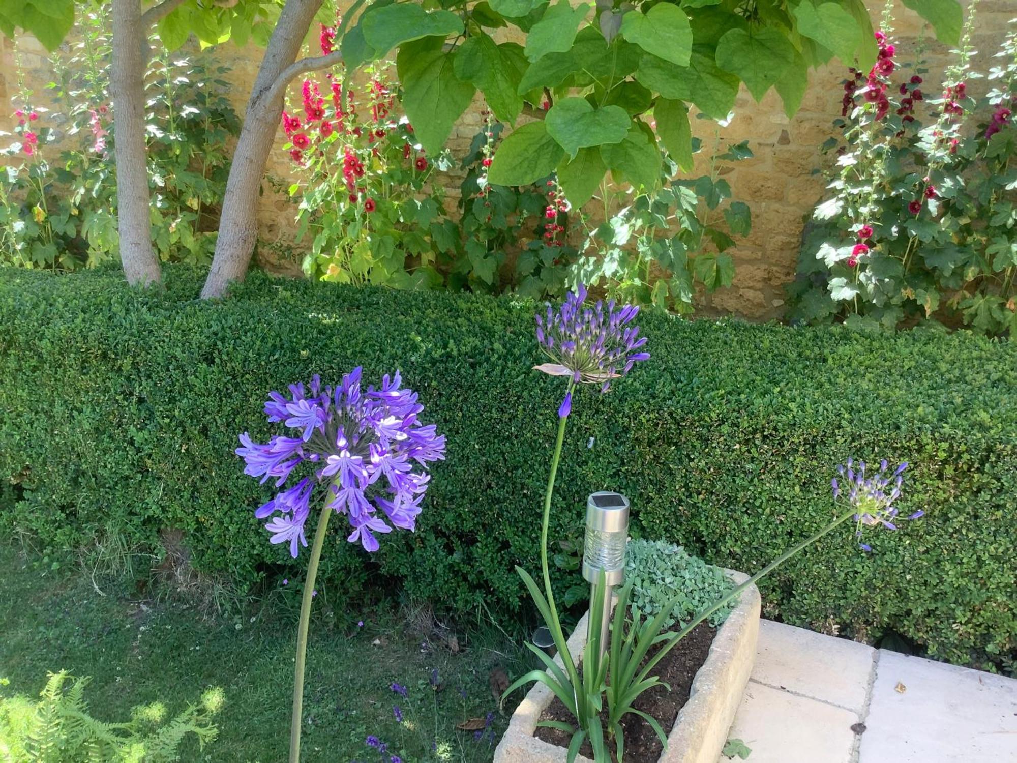 Bed and Breakfast Holly House Ebrington Экстерьер фото